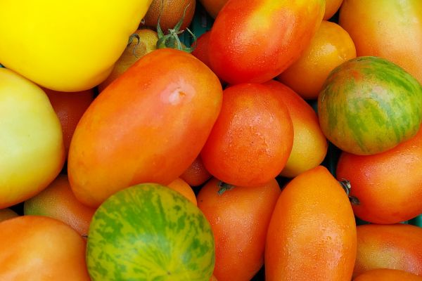 Tomaten